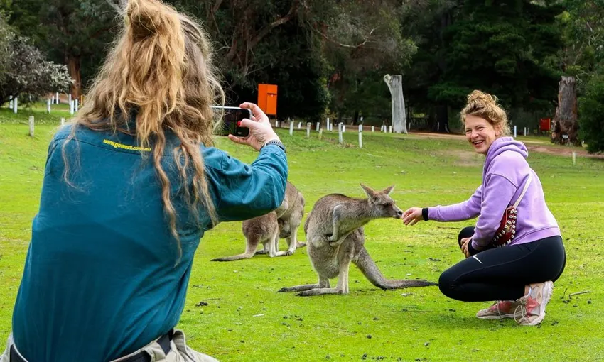Grampians Day Tour from Melbourne | Experience Oz