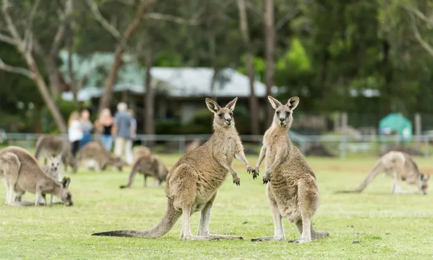 Grampians Day Tour from Melbourne | Experience Oz