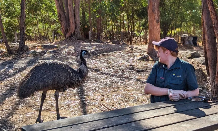 Grampians Day Tour from Melbourne | Experience Oz