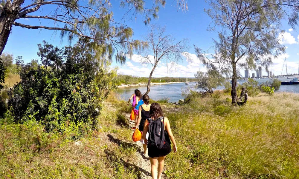 Gold Coast Wave Break Island Quick Escape Kayaking Tour | Experience Oz-6