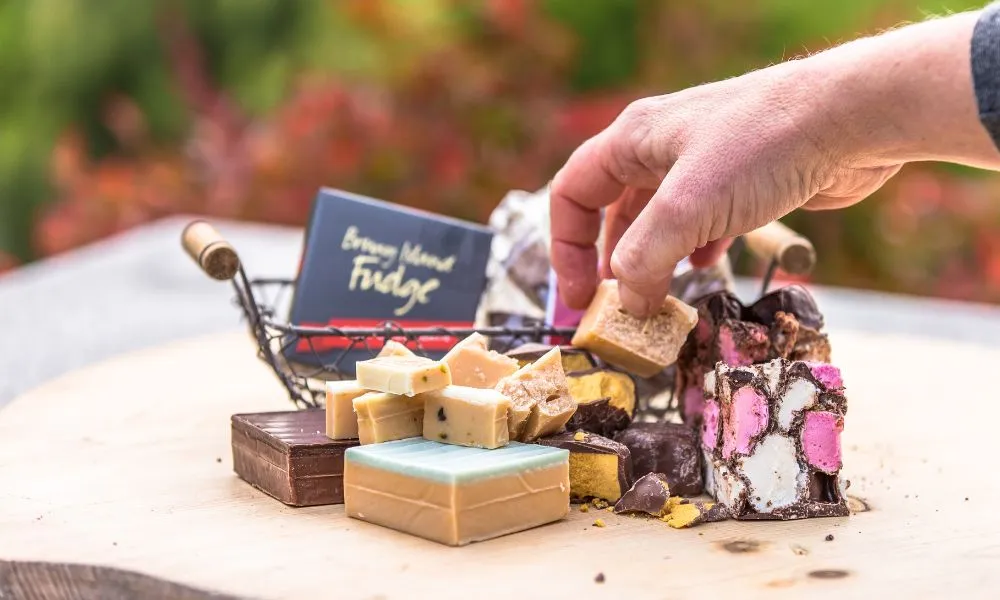 Bruny Island Food, Sightseeing and Lighthouse Tour | Experience Oz-7