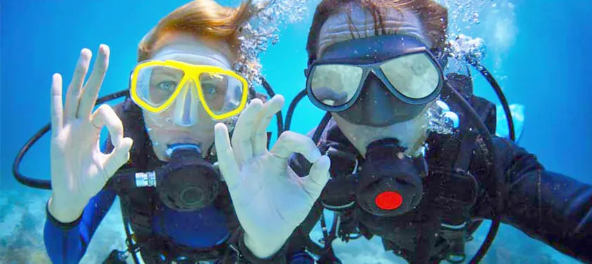 Gold Coast Introductory Scuba Dive - Book Now | Experience Oz