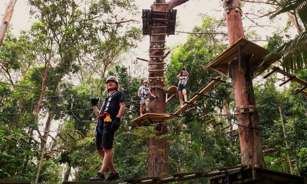 Currumbin TreeTop Challenge - Book Now | Experience Oz-1