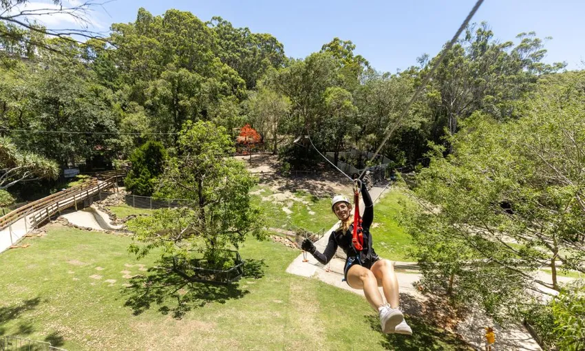 Currumbin TreeTop Challenge - Book Now | Experience Oz