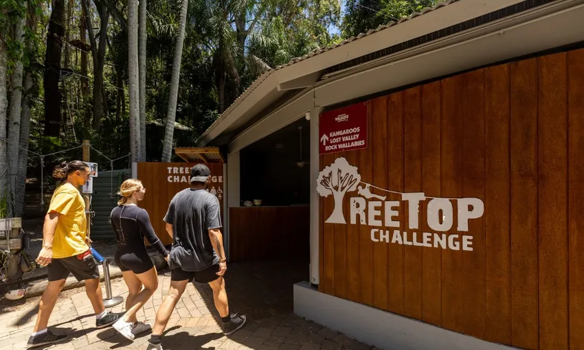 Currumbin TreeTop Challenge - Book Now | Experience Oz