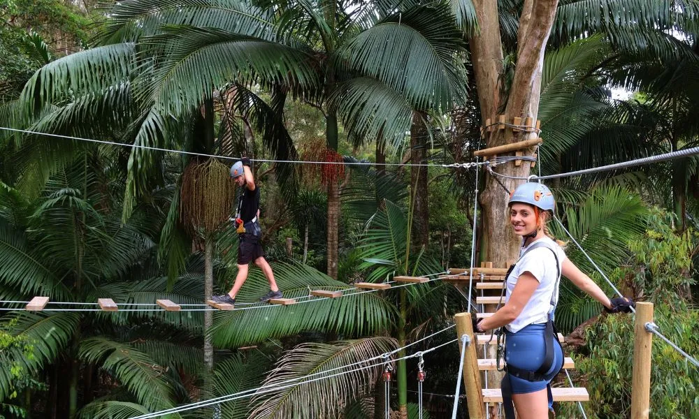 Currumbin TreeTop Challenge - Book Now | Experience Oz-6
