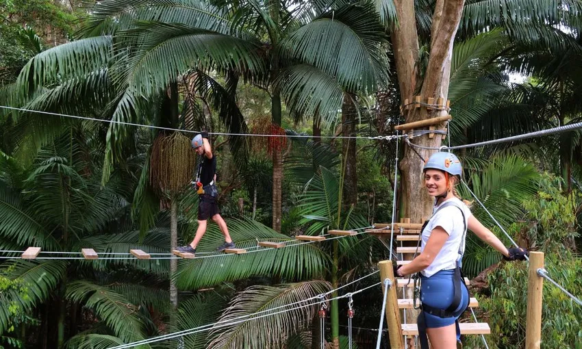 Currumbin TreeTop Challenge - Book Now | Experience Oz