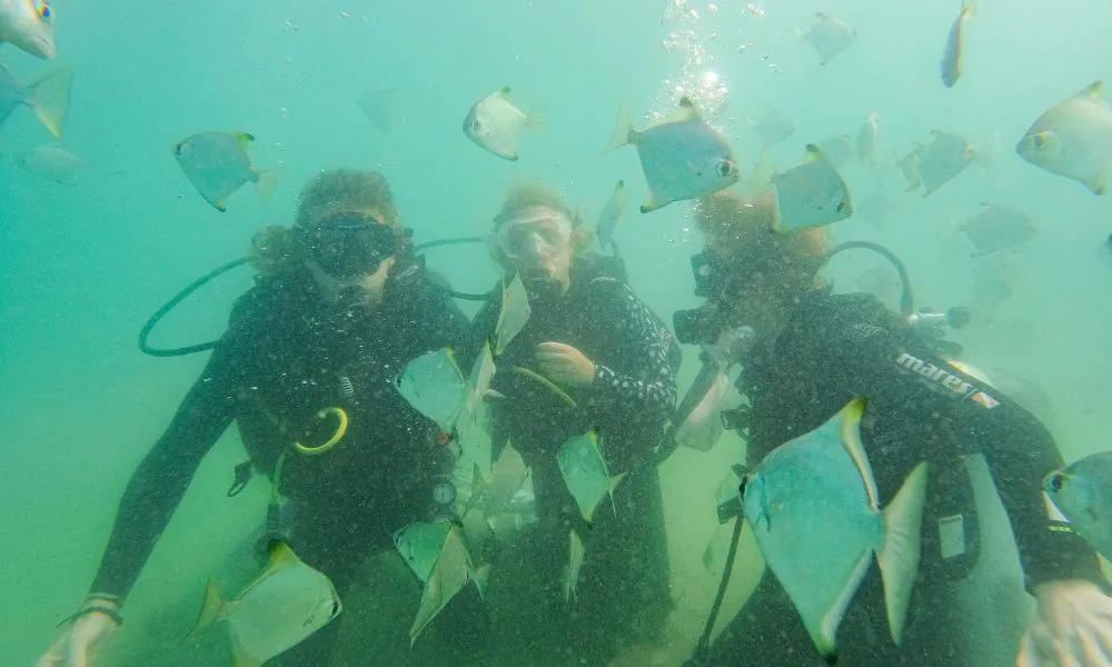 Gold Coast Snorkelling Tours - Book Now | Experience Oz-2