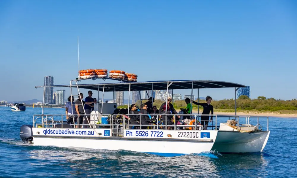 Gold Coast Snorkelling Tours - Book Now | Experience Oz-5