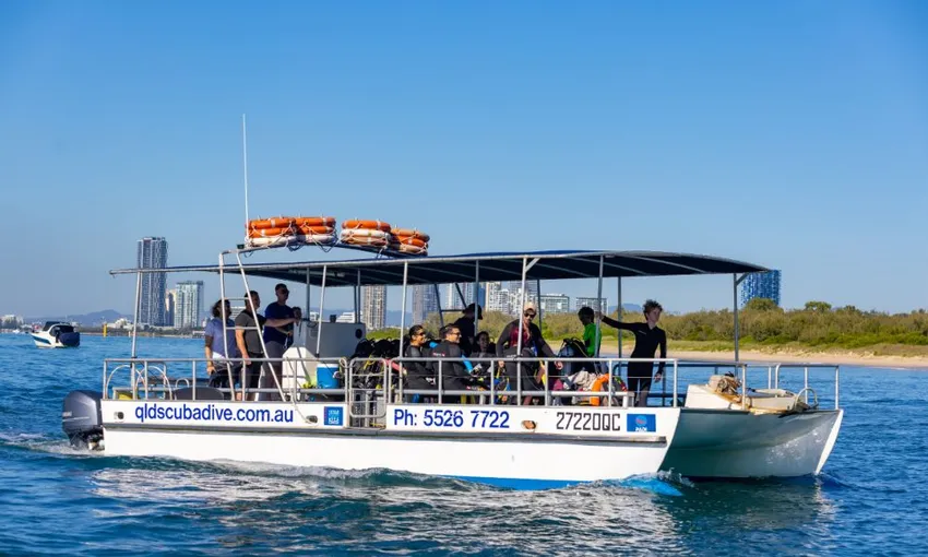 Gold Coast Snorkelling Tours - Book Now | Experience Oz