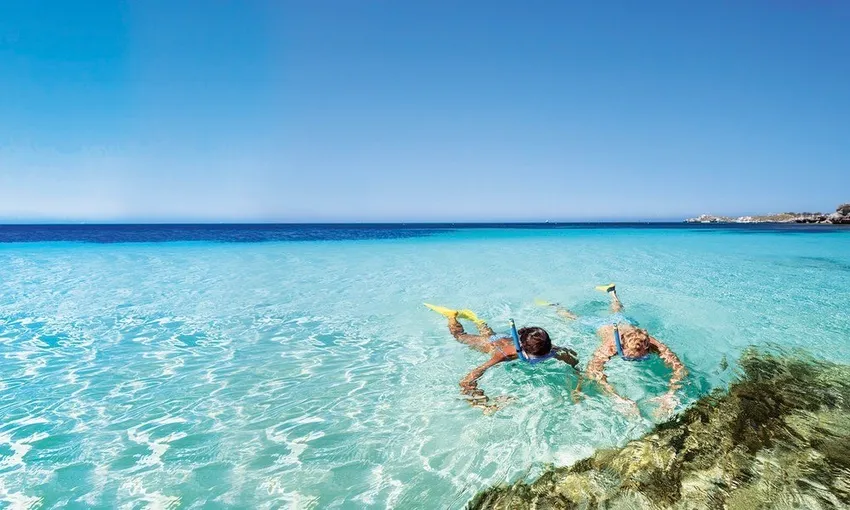 Rottnest Island Day Tour with Snorkelling & Bike Hire | Experience Oz