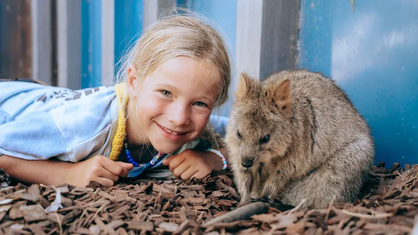 Rottnest Island Day Tour with Bicycle Hire | Experience Oz