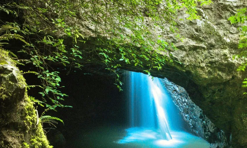 Gold Coast Natural Arch and Springbrook Tour | Experience Oz