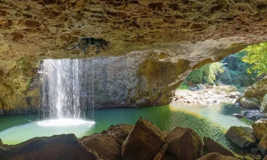 Gold Coast Natural Arch and Springbrook Tour | Experience Oz