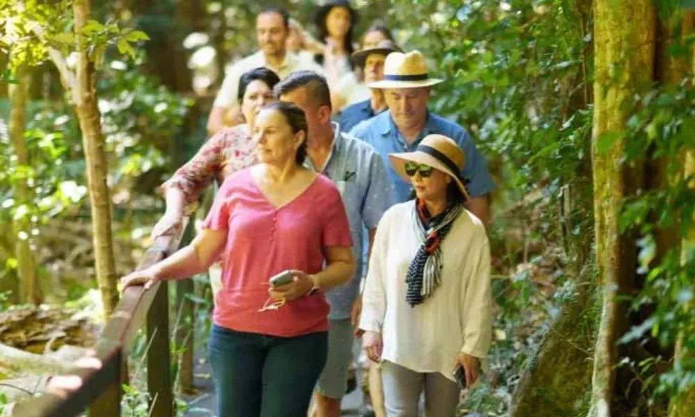 Gold Coast Natural Arch and Springbrook Tour | Experience Oz-5