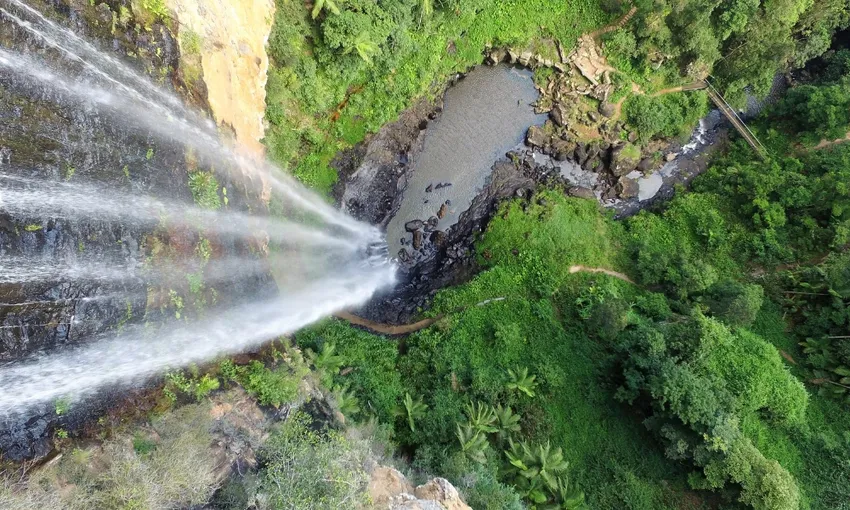 Gold Coast Natural Arch and Springbrook Tour | Experience Oz