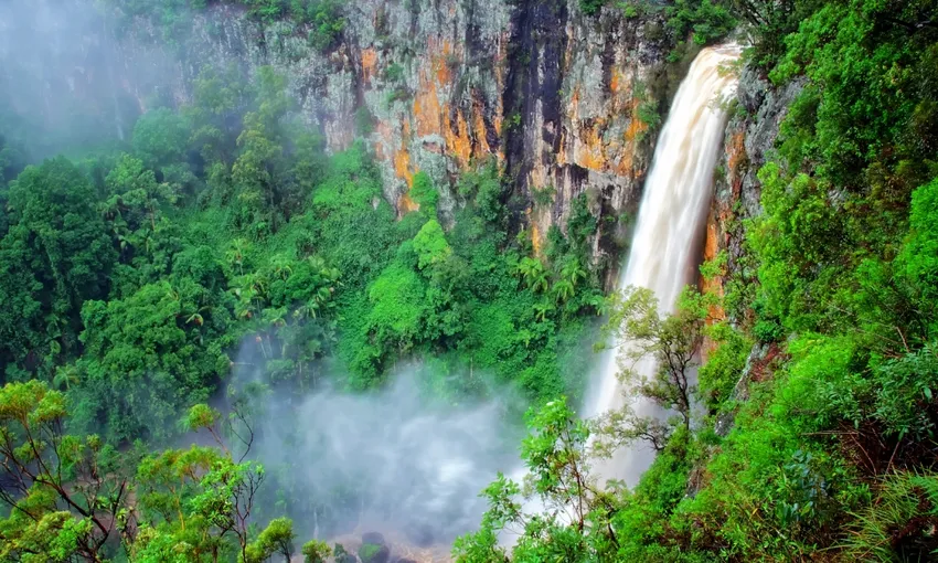 Gold Coast Natural Arch and Springbrook Tour | Experience Oz