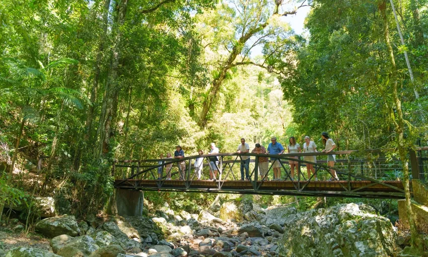 Gold Coast Natural Arch and Springbrook Tour | Experience Oz
