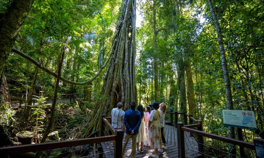 Gold Coast Natural Arch and Springbrook Tour | Experience Oz