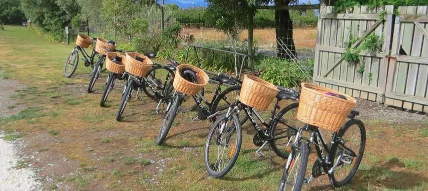 Morning Guided with Afternoon Self-Guided Biking Wine Tour | Experience Oz + NZ