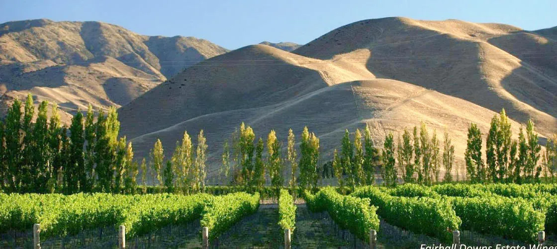 Morning Guided with Afternoon Self-Guided Biking Wine Tour | Experience Oz + NZ-3