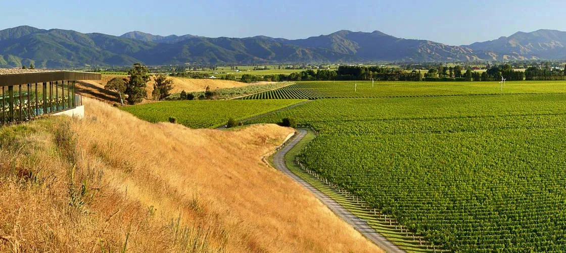 Marlborough Winery Tour - Half Day | Experience Oz + NZ-6