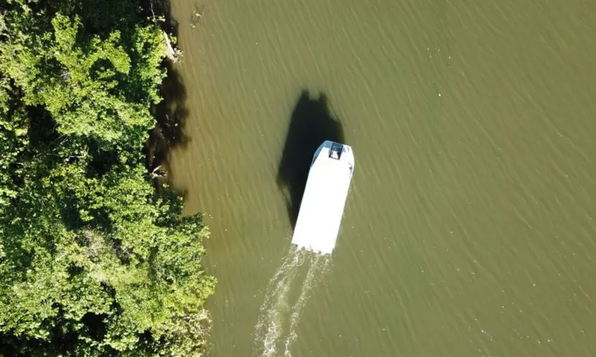 Daintree Rainforest River Cruise Tickets - Book Now | Experience Oz
