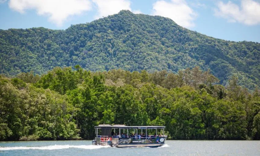 Daintree Rainforest River Cruise Tickets - Book Now | Experience Oz
