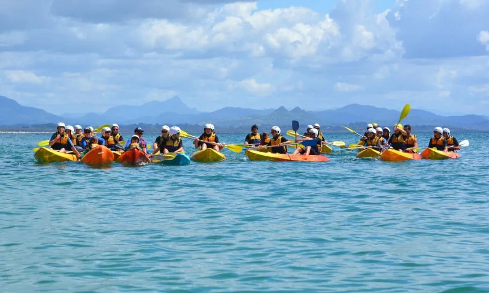 Brunswick River Nature Kayak Tour – Book Now | Experience Oz-1