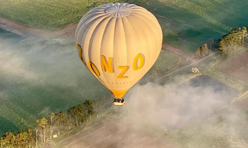 Yarra Valley Hot Air Balloon Flight - 1 Hour | Experience Oz