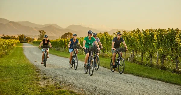 Half Day Guided Biking Wine Tour