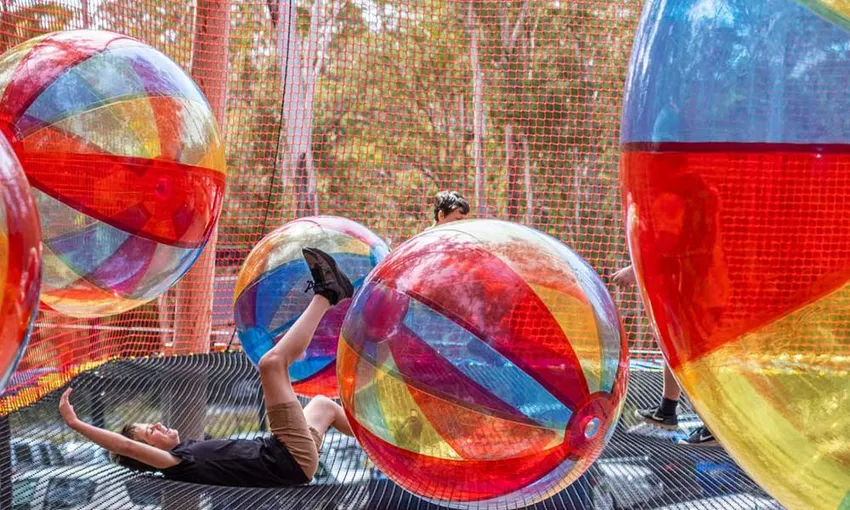 WildNets Adventure Park Tickets - Book Now | Experience Oz