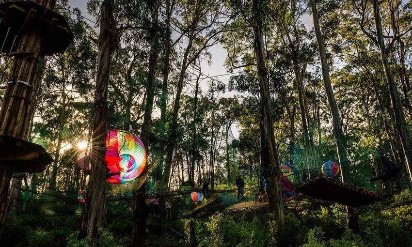 WildNets Adventure Park Tickets - Book Now | Experience Oz