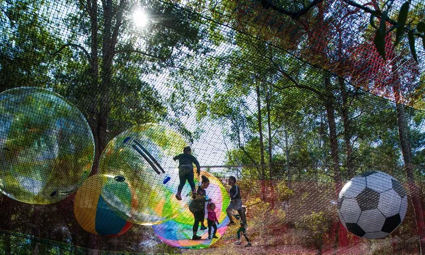 WildNets Adventure Park Tickets - Book Now | Experience Oz