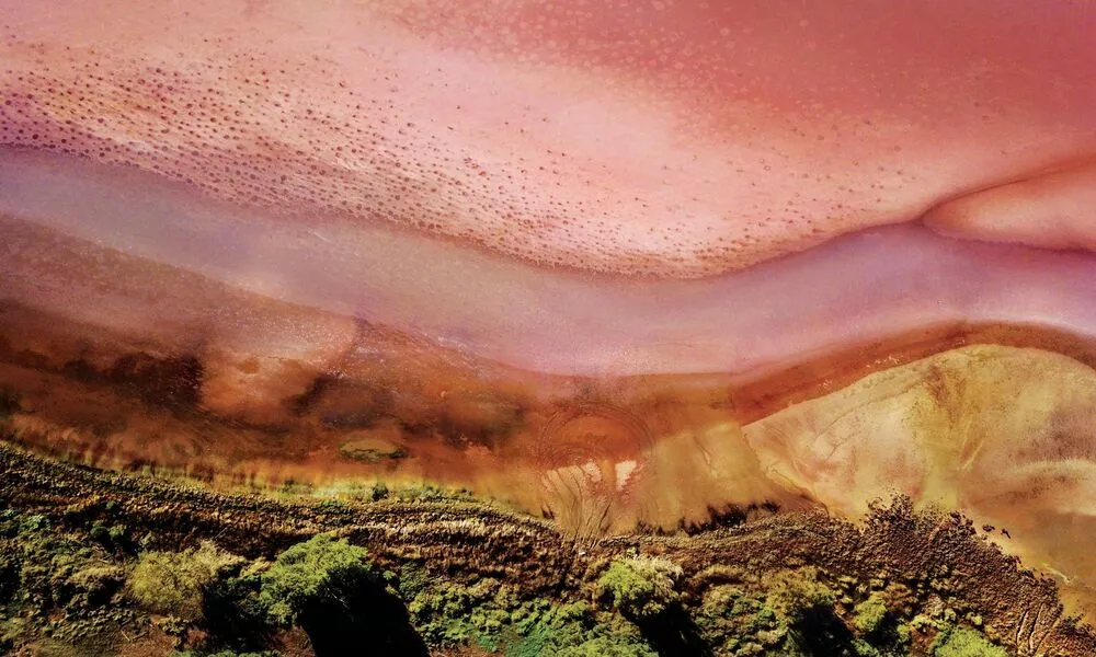 Swim with Cuttlefish 3 Day Tour From Adelaide | Experience Oz-3