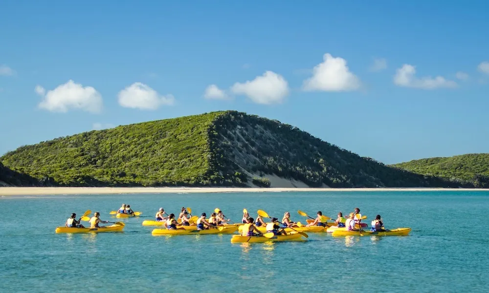 Sunshine Coast Rainbow Beach Dolphin Kayak - Book Now | Experience Oz-3