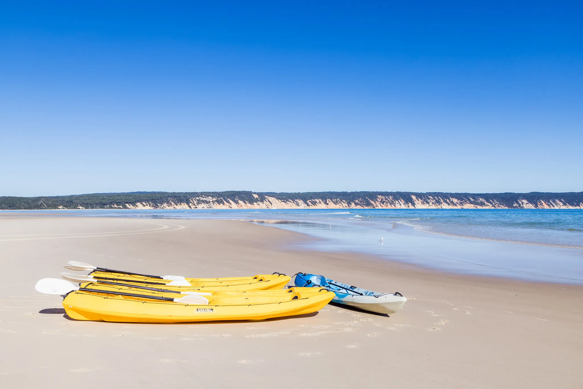 Sunshine Coast Rainbow Beach Dolphin Kayak - Book Now | Experience Oz-9