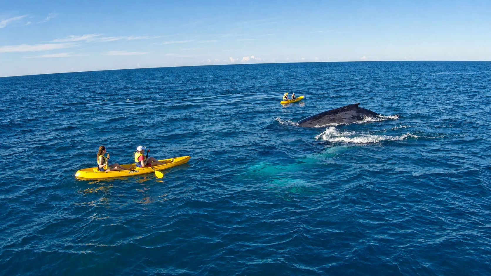 Sunshine Coast Rainbow Beach Dolphin Kayak - Book Now | Experience Oz-3