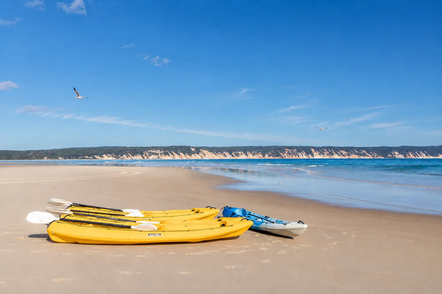 Sunshine Coast Rainbow Beach Dolphin Kayak - Book Now | Experience Oz-9