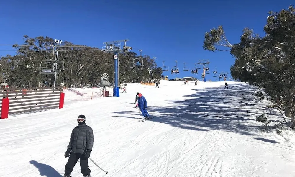 Mount Buller Snow Day Tour from Melbourne | Experience Oz-2