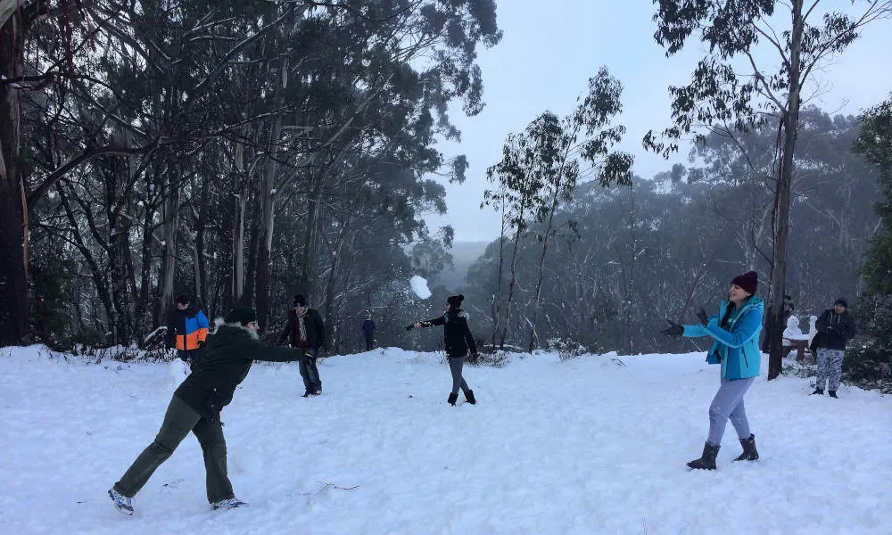 Mount Buller Snow Day Tour from Melbourne | Experience Oz-4