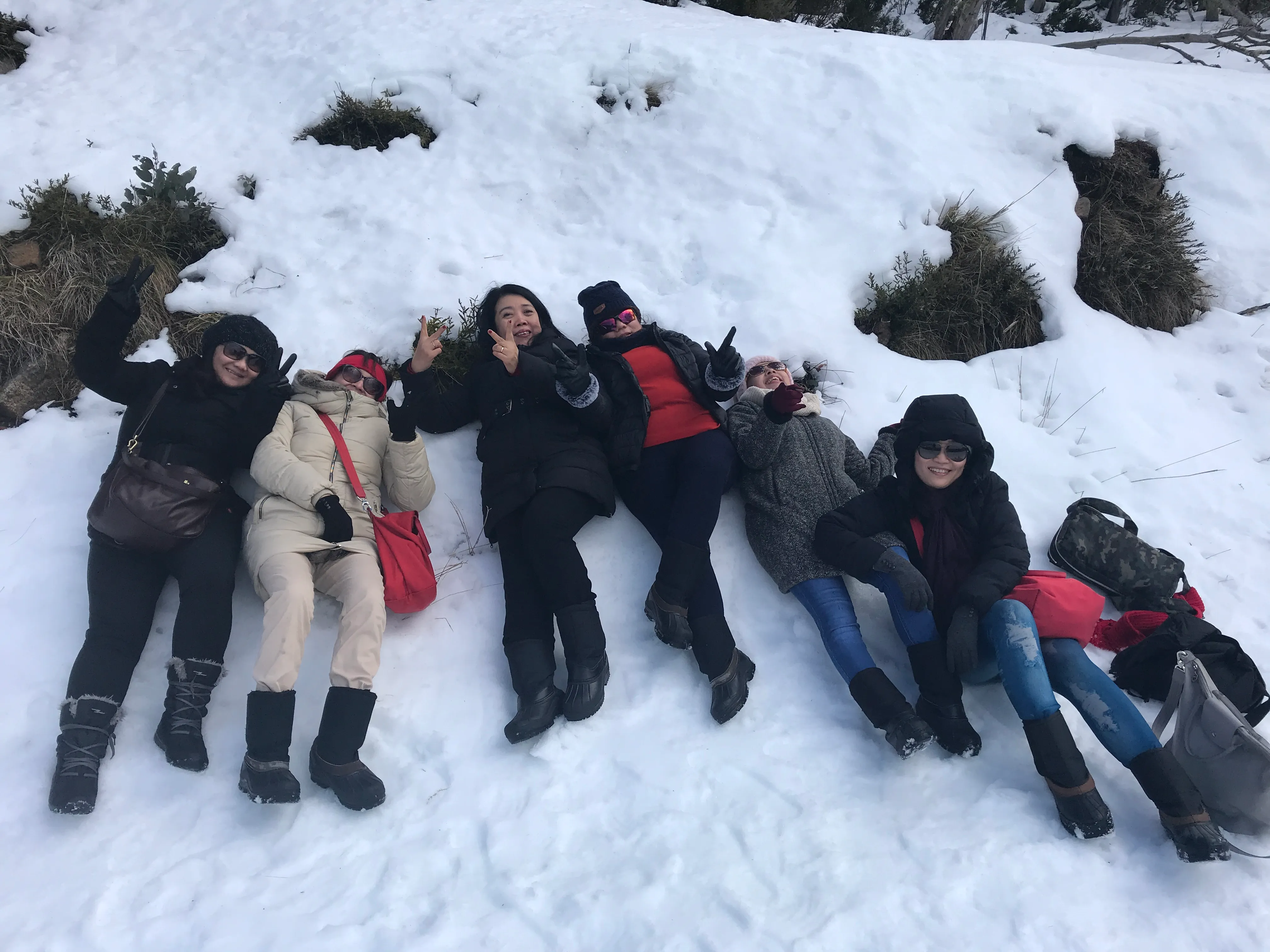 Mount Buller Snow Day Tour from Melbourne | Experience Oz-7