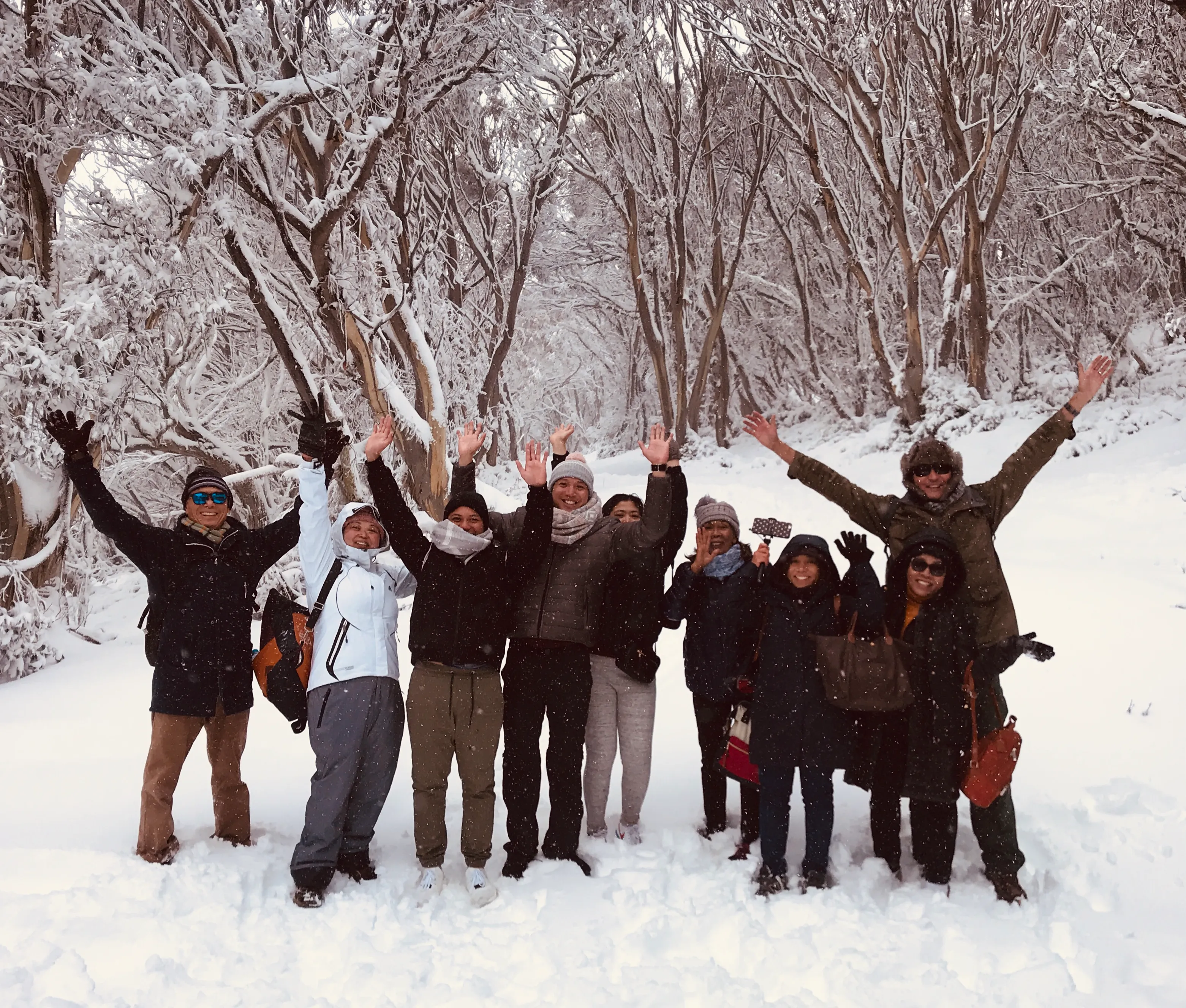 Mount Buller Snow Day Tour from Melbourne | Experience Oz-11