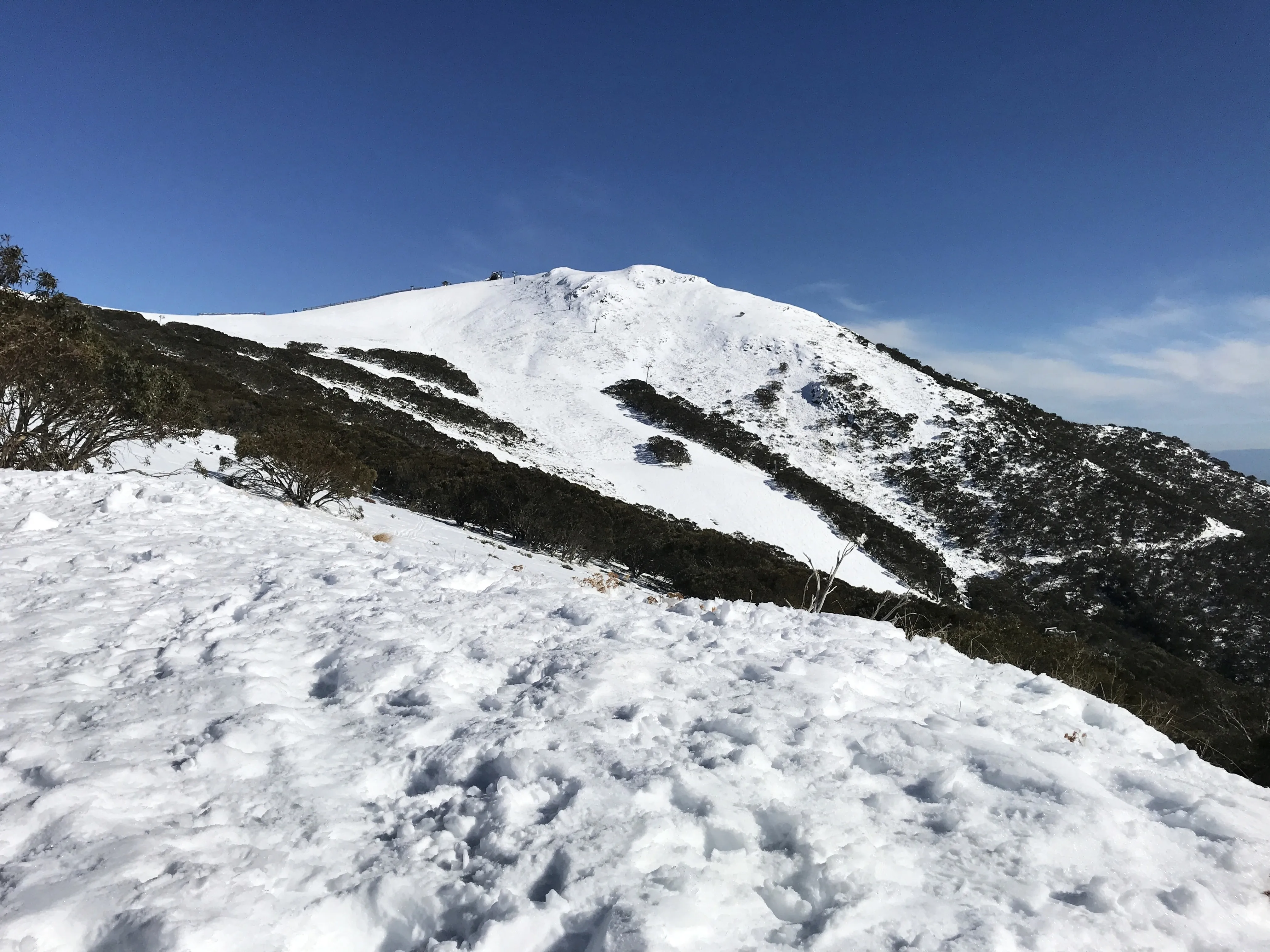 Mount Buller Snow Day Tour from Melbourne | Experience Oz-12