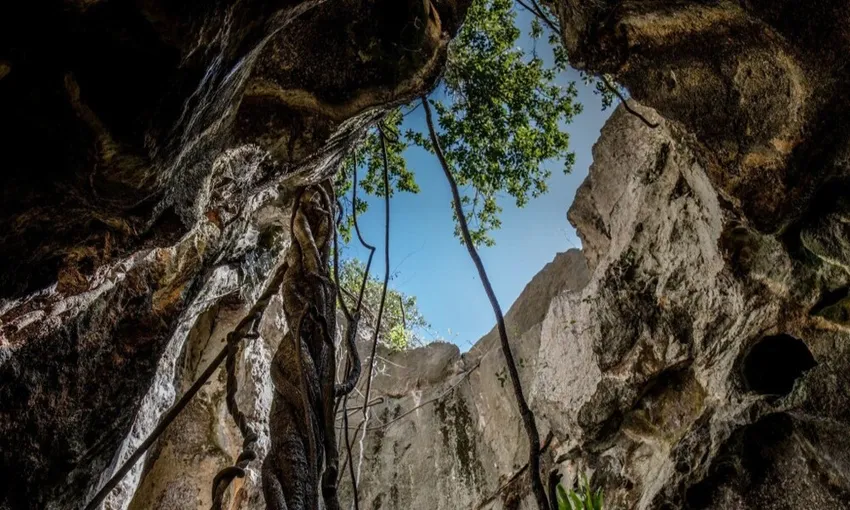 Capricorn Cave Explorer Tour - 90 Minutes | Experience Oz