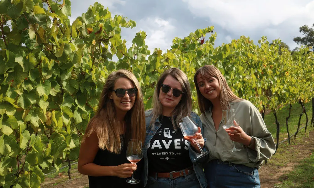 Taste of the Hunter Valley Wine Tour From Hunter Valley-5