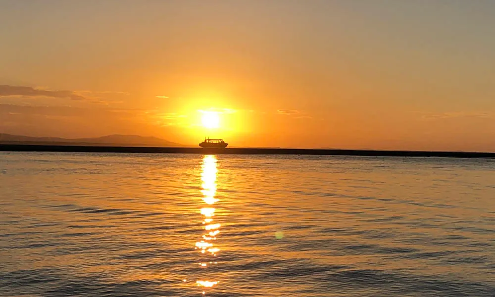 1770 Larc Afternoon Cruise from Agnes Water | Experience Oz-5