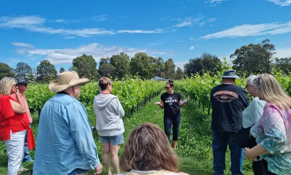 Taste of the Hunter Valley From Newcastle