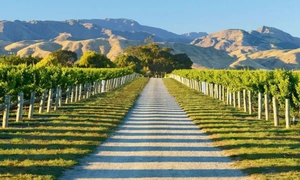 Marlborough Small Group Wine Tour - Full Day