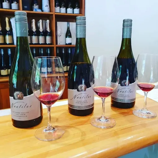Marlborough Small Group Wine Tour - Full Day | Experience Oz + NZ